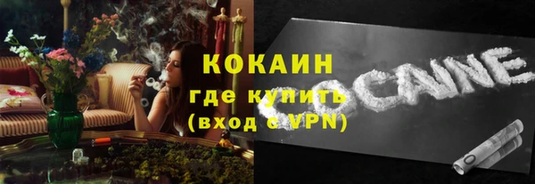 гашик Гусь-Хрустальный