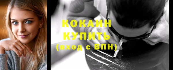 гашик Гусь-Хрустальный