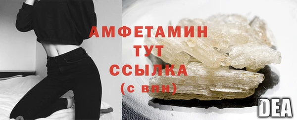 гашик Гусь-Хрустальный