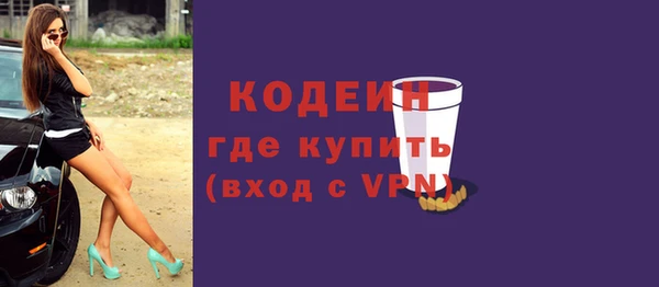гашик Гусь-Хрустальный
