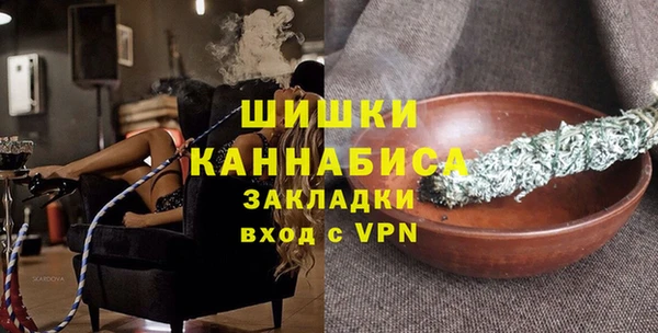 гашик Гусь-Хрустальный