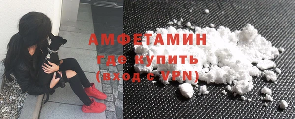 гашик Гусь-Хрустальный