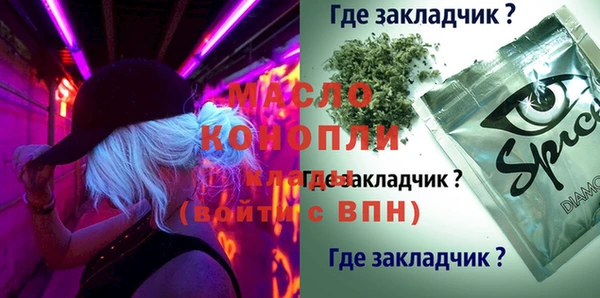 гашик Гусь-Хрустальный