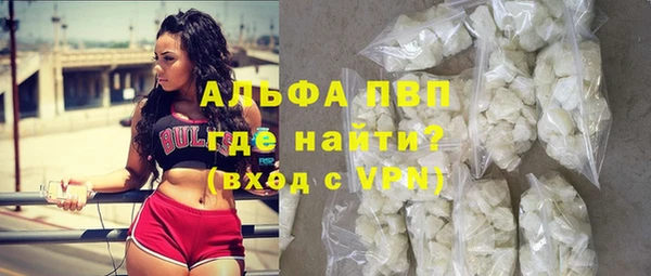 гашик Гусь-Хрустальный