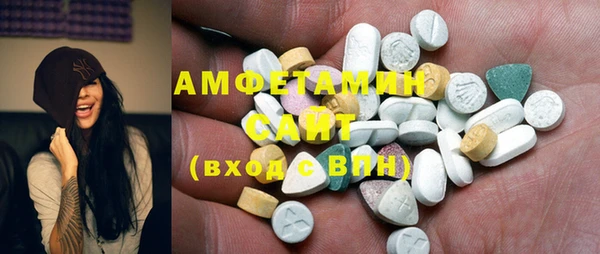 гашик Гусь-Хрустальный