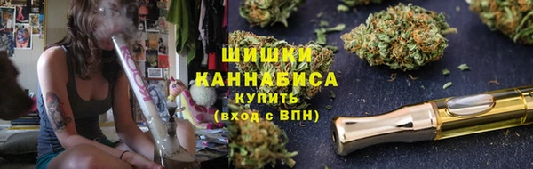 дмт Горно-Алтайск