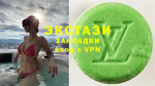 гашик Гусь-Хрустальный