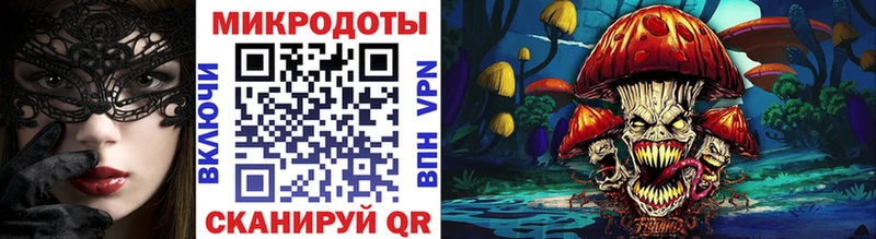 Псилоцибиновые грибы Cubensis Бокситогорск
