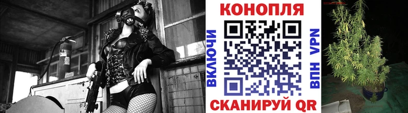 Бошки марихуана VHQ Бокситогорск